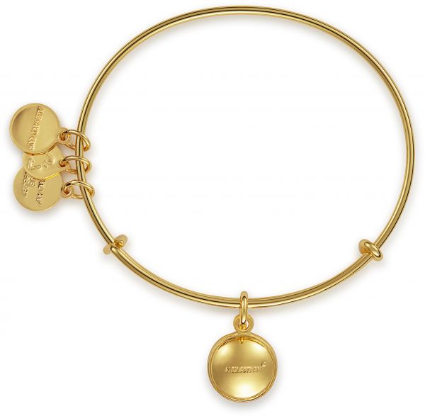 Alex and Ani Bangle Bar August Birth Month Gold-Tone Expandable Bracelet